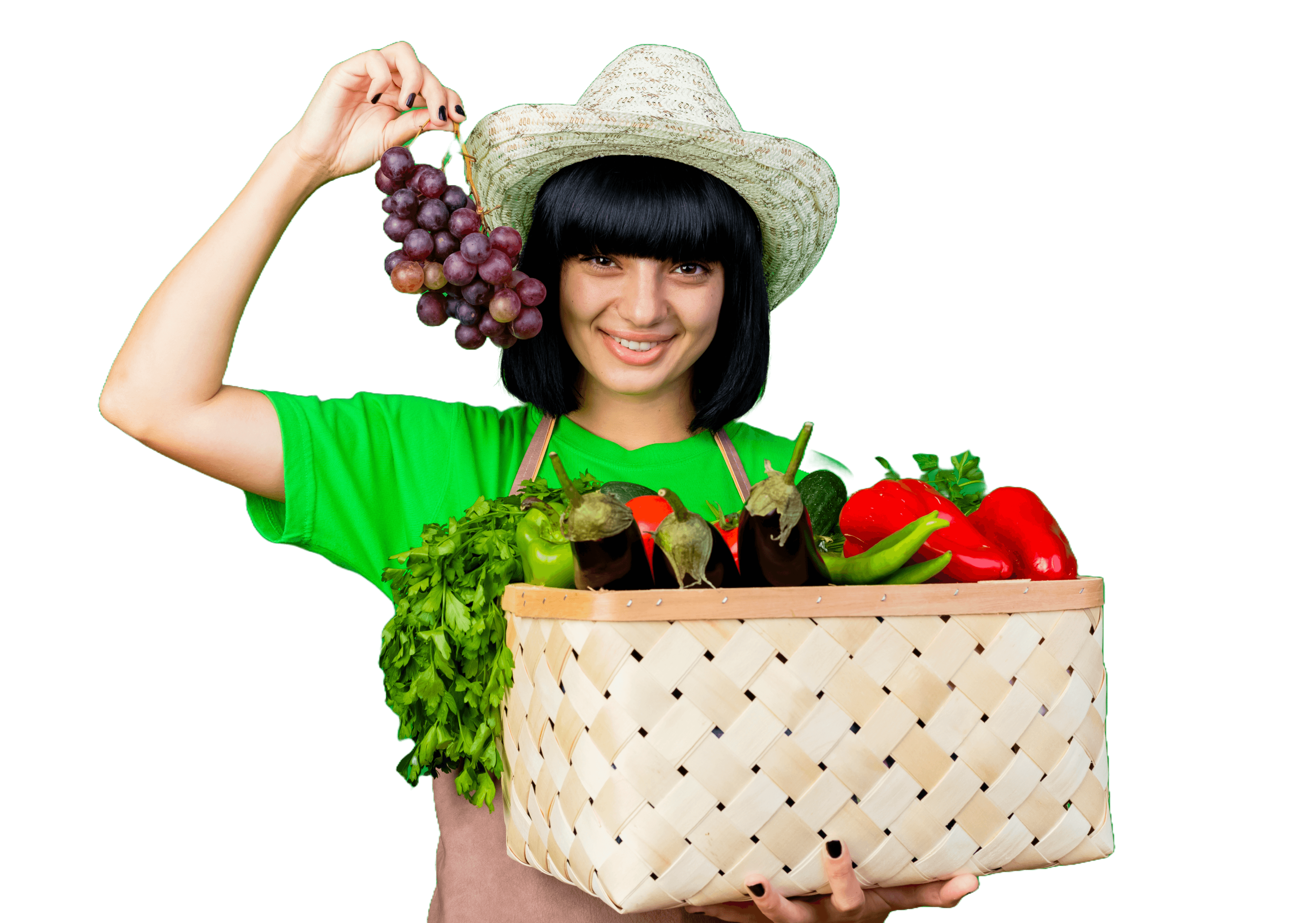 Banner model